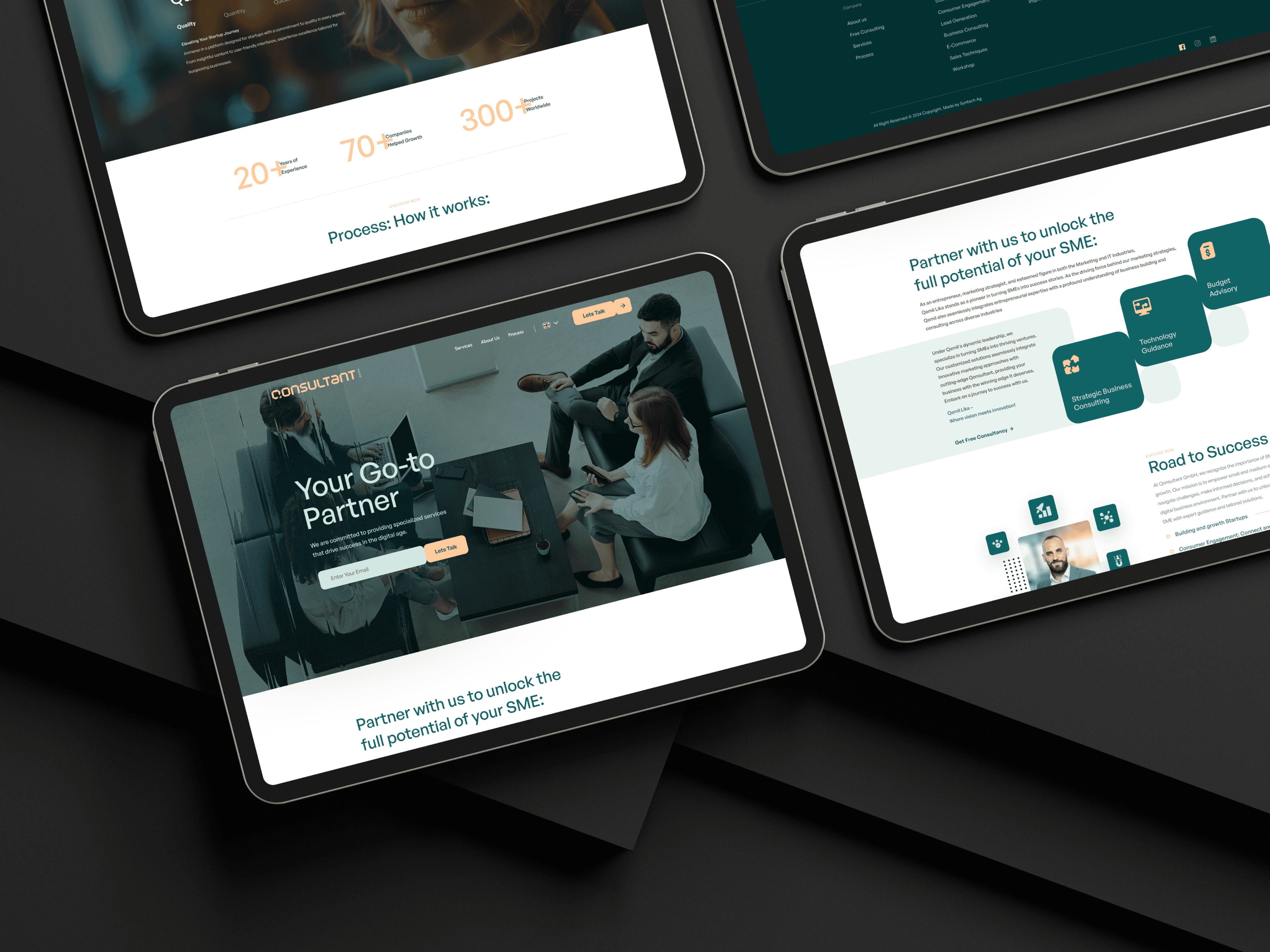 Project Showcase 1